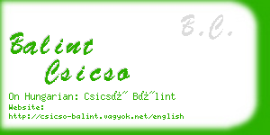 balint csicso business card